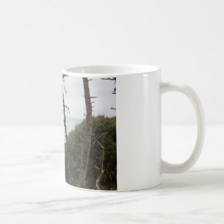 Fort Bragg CA-kusten Kaffemugg