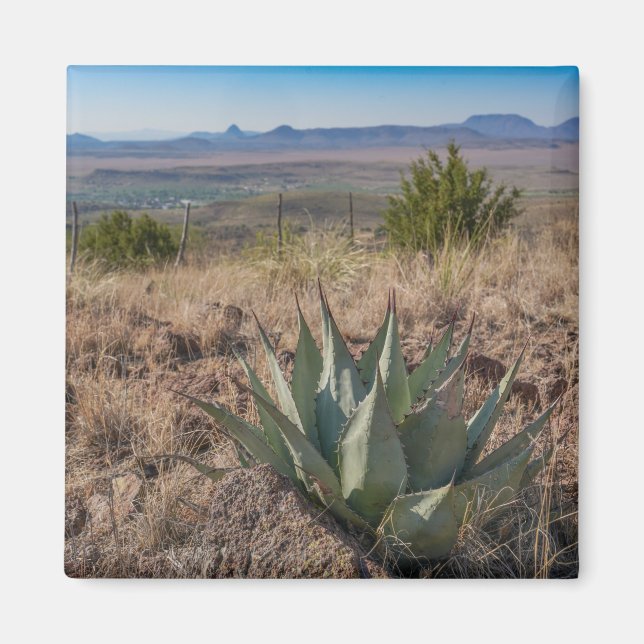 Fort Davis Mountains Agave Magnet (Framsidan)