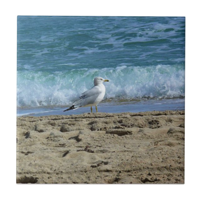 Fort Lauderdale, Florida Kakelplatta (Framsidan)