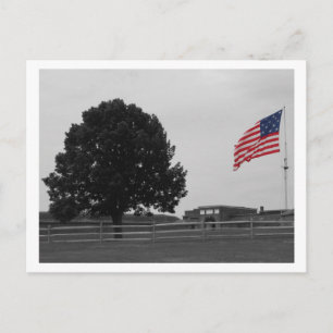 Fort McHenry Vykort