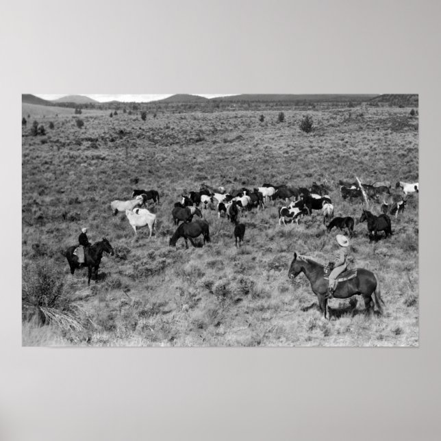 Fort Sten, Oregon Cowboy i Djävulen Garden Poster (Framsidan)