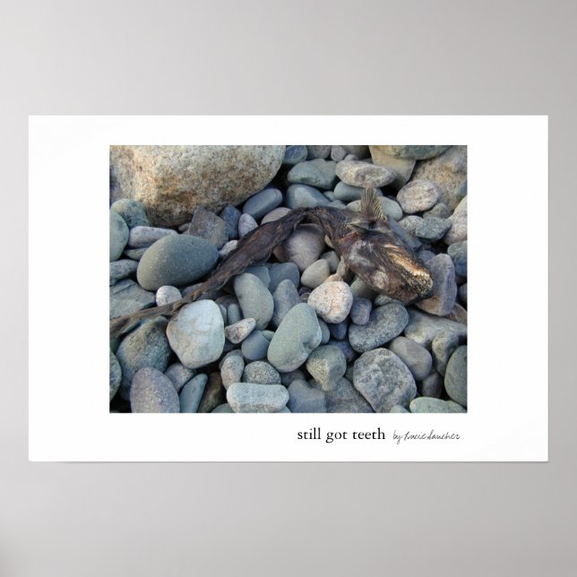 Fortfarande Har Teeth Poster (Framsidan)