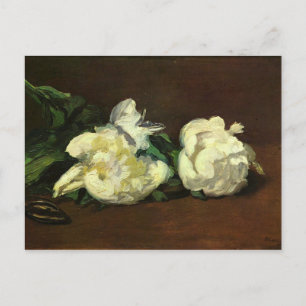 Fortfarande liv, White Peony av Edouard Manet Vykort