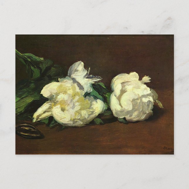 Fortfarande liv, White Peony av Edouard Manet Vykort (Framsida)