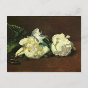 Fortfarande liv, White Peony av Edouard Manet Vykort