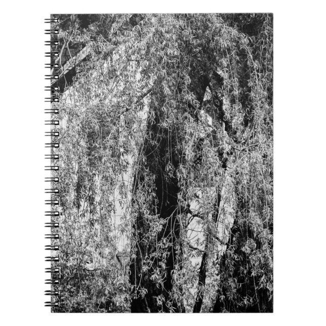 fortfarande livbostad anteckningsbok (Framsidan)