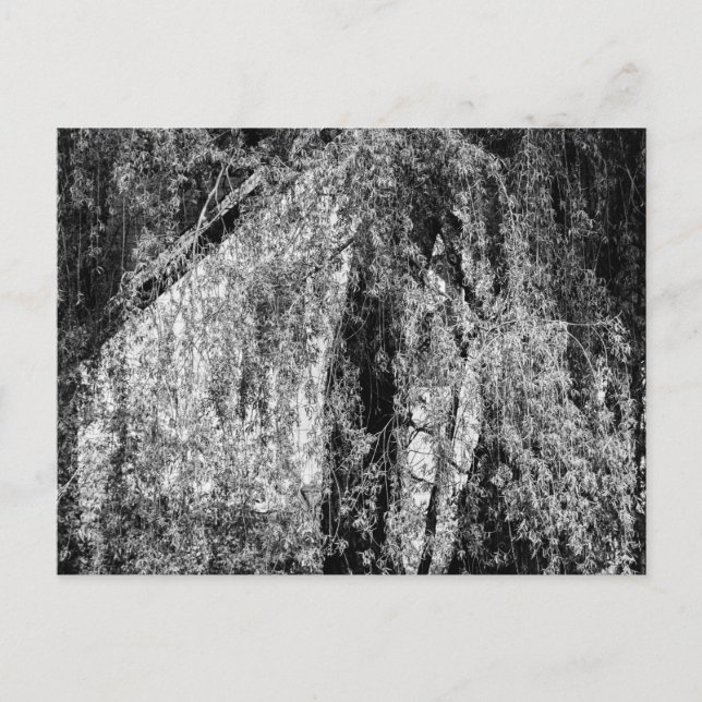 fortfarande livbostad helg vykort (Framsida)