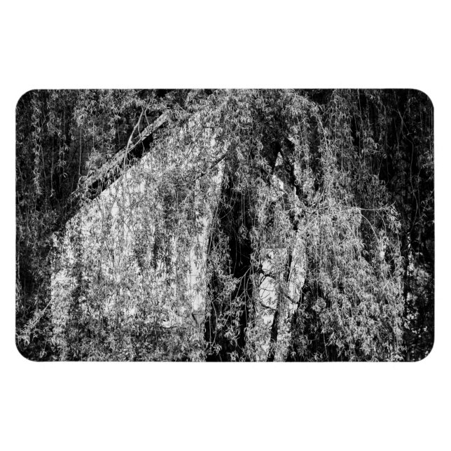 fortfarande livbostad magnet (Horisontell)