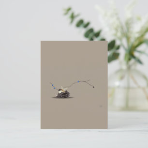 Fortfarande Marine Beige Brown Relaxation Seashell Helg Vykort