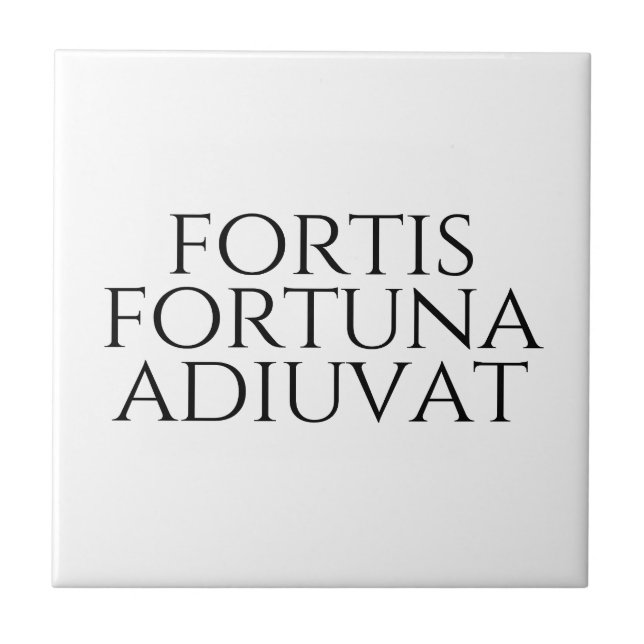 Fortis Fortuna Adiuvat Kakelplatta (Framsidan)