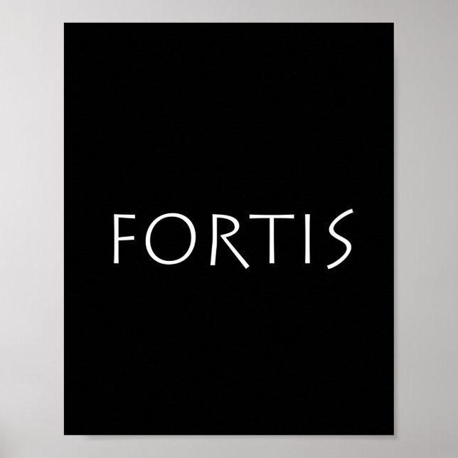 Fortis Poster (Framsidan)