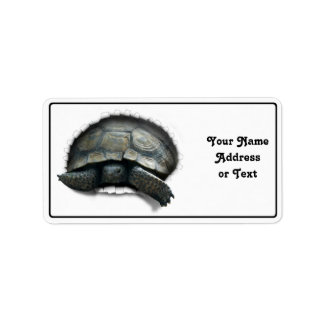 FÖRTJÄNA TORTOISE SOM KOMMER UT! ADRESSETIKETT
