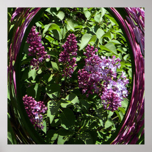 Förtjusade Lilacs...... Poster