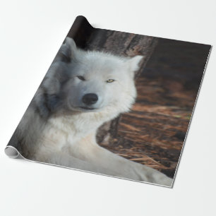 Förtjusande arktisk varg presentpapper