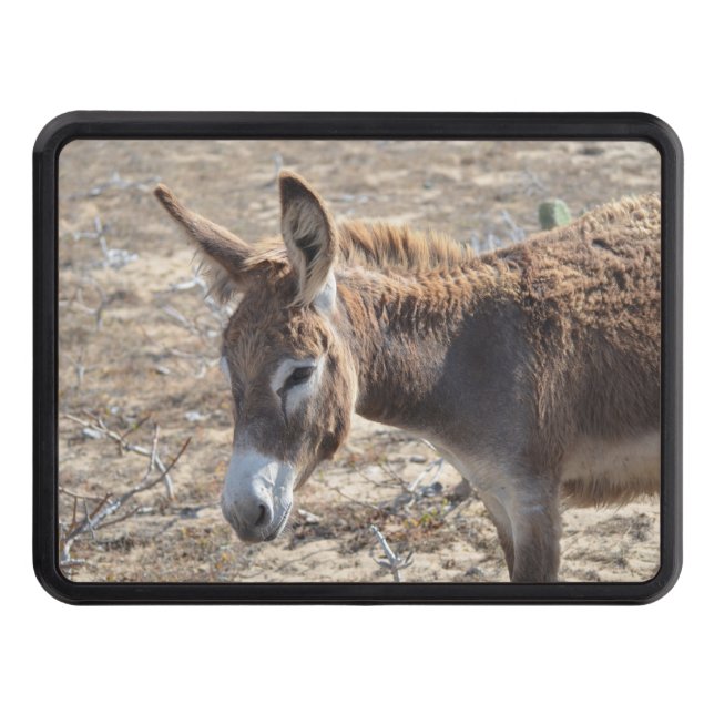 Förtjusande åsna dragkroksskydd (Framsidan)