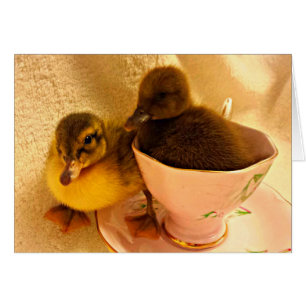 Förtjusande babyDucklings i kopp för rosa Tea Hälsningskort