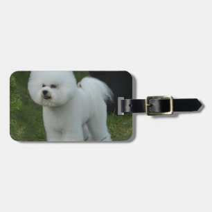 Förtjusande Bichon Bagagebricka