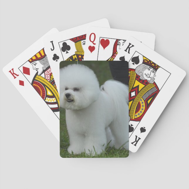 Förtjusande Bichon Spel Kort (Baksidan)