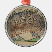 Förtjusande Blått-footed igelkott