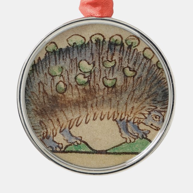 Förtjusande Blått-footed igelkott Julgransprydnad Metall (Framsidan)