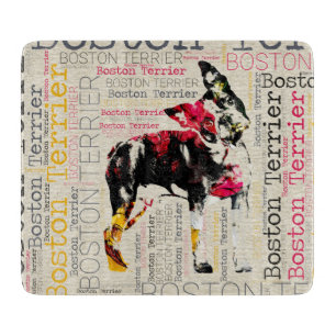 Förtjusande Boston Terrier