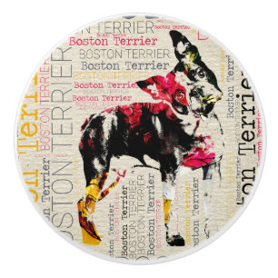 Förtjusande Boston Terrier Knopp