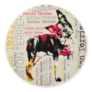 Förtjusande Boston Terrier Knopp