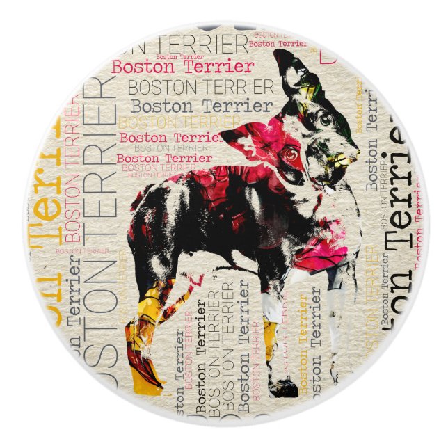 Förtjusande Boston Terrier Knopp (Framsidan)