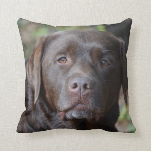 Förtjusande chokladLabrador Retriever Kudde