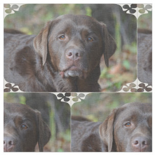 Förtjusande chokladLabrador Retriever Tyg