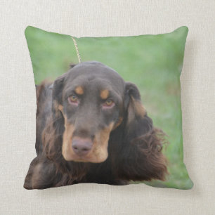 Förtjusande cockerspanielSpaniel Kudde