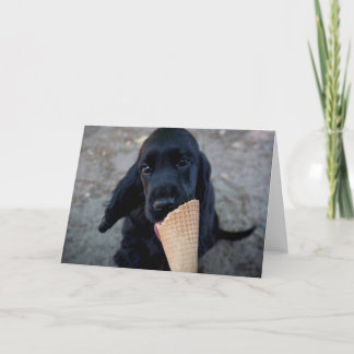 Förtjusande cockerspanielspanielvalp - kort