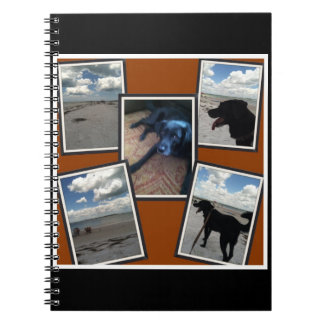förtjusande collage av foto av stranden och hunden anteckningsbok med spiral