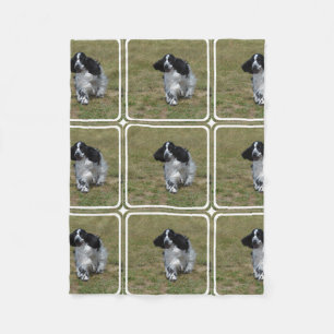 Förtjusande engelskacockerspanielSpaniel Fleecefilt