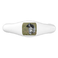 Förtjusande engelskacockerspanielSpaniel