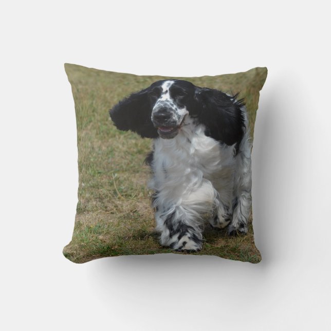 Förtjusande engelskacockerspanielSpaniel Kudde (Framsida)