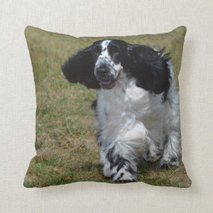 Förtjusande engelskacockerspanielSpaniel Kudde