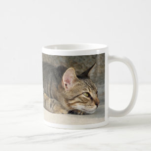 Förtjusande fundersam tabby kattmugg kaffemugg
