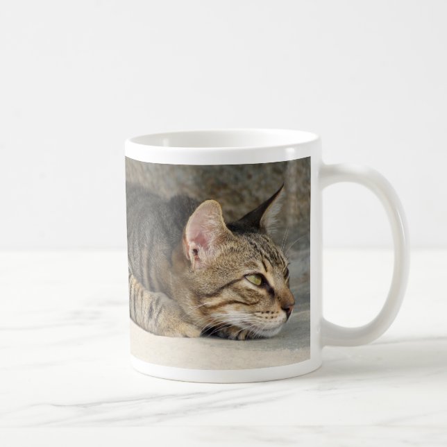 Förtjusande fundersam tabby kattmugg kaffemugg (Höger)
