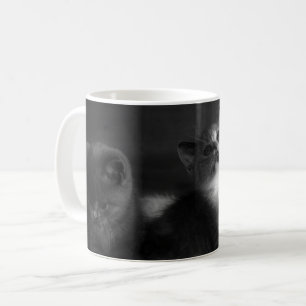 Förtjusande grå färgkattungeporträtt kaffemugg