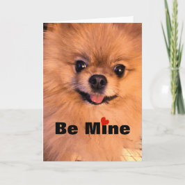 Förtjusande gullig valentin för hundPomeranian Helgkort