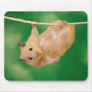 Förtjusande hamstermousepad musmatta