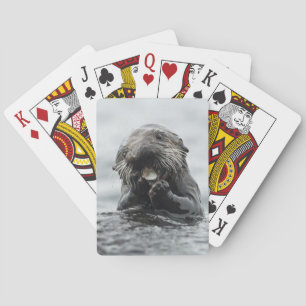 Förtjusande havsutter casinokort