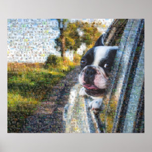 Förtjusande hund som hänger ut ur fönstermosaiken poster
