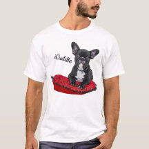 Förtjusande iCuddlefranskbulldogg