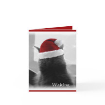 Förtjusande julkattunge