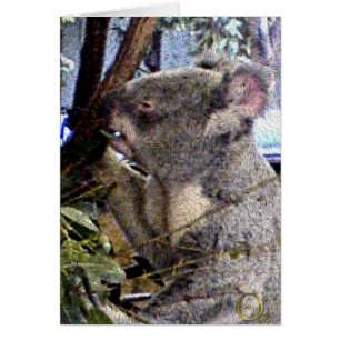 Förtjusande Koala Hälsningskort