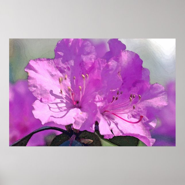 Förtjusande lavender poster (Framsidan)