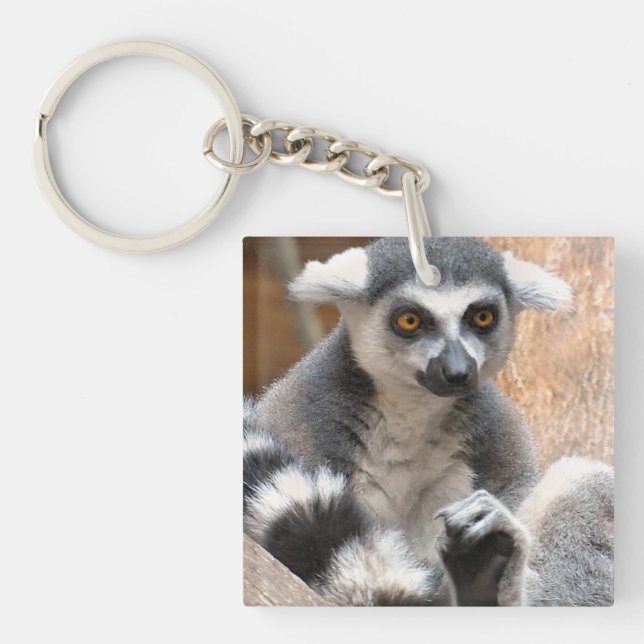 Förtjusande Lemur (Framsidan)