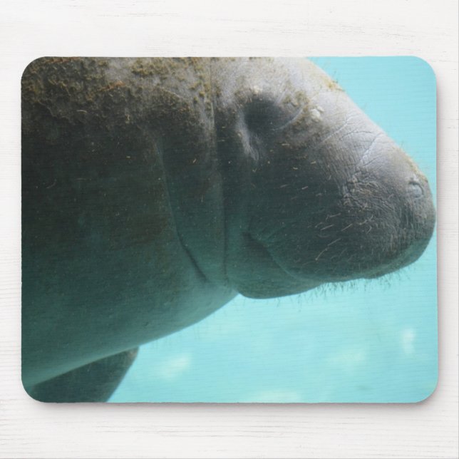 Förtjusande Manateesimning Musmatta (Framsidan)
